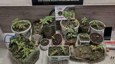 Sinop'ta uyuşturucu operasyonunda yakalanan zanlı tutuklandı