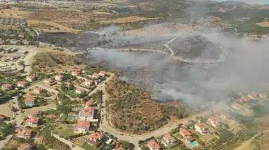 Bodrum'da makilik ve otluk alanda çıkan yangına müdahale ediliyor