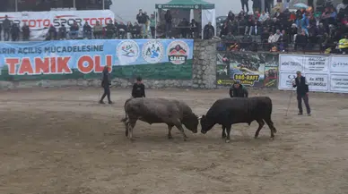 Rize'de "29. Çamlıhemşin Ayder Kültür, Sanat ve Doğa Festivali" sona erdi