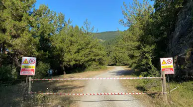 Samsun'da orman yangınlarının önüne geçmek için çeşitli kararlar alındı