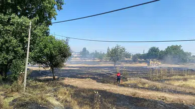Merzifon’da tarım arazisinde çıkan yangın söndürüldü