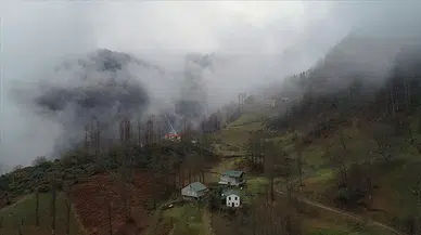 Trabzon'un "Hıdırnebi Yaylası" sis altındaki güzelliğiyle ziyaretçilerini karşılıyor