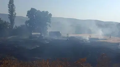 Tokat'ta çıkan anız yangınında yaklaşık 5 dönüm alan zarar gördü