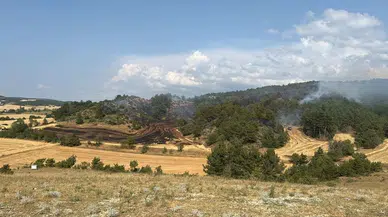Bolu'da iki ayrı ormanlık alanda çıkan yangınlar kontrol altına alındı