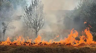 Bolu'da çıkan anız yangınları söndürüldü