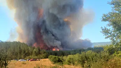 Karabük'te ormanlık alanda çıkan yangına müdahale ediliyor