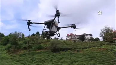 Rizeli vatandaş çay hasadı yapan akrabasına dronla su taşıdı