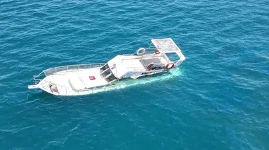Datça'da sahilde dinlenen fok için bölgeye güvenlik şeridi çekildi