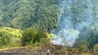Kastamonu'da bir evde çıkarak ormanlık alana sıçrayan yangın söndürüldü