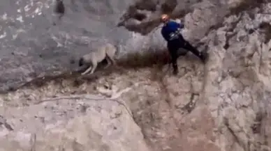 Düzce'de kayalıklarda mahsur kalan köpek kurtarıldı