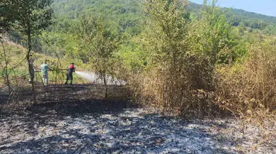 Bartın'da çıkan anız yangını söndürüldü