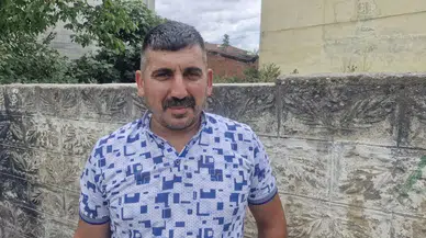 Tokat'ta kereste fabrikasındaki iki tilki cep telefonuyla görüntülendi