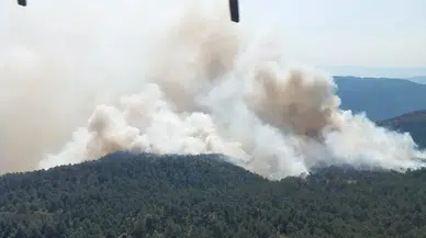 Sinop'ta çıkan orman yangınına müdahale ediliyor