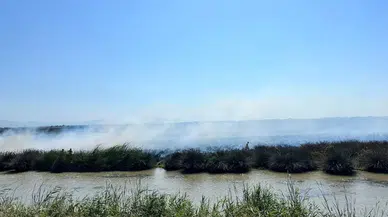 Kızılırmak Deltası Kuş Cenneti'nde yangın