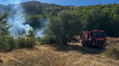 Kastamonu'da çıkan orman yangını söndürüldü