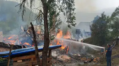 Kastamonu'da çıkan yangında 2 ev ile 2 samanlık zarar gördü