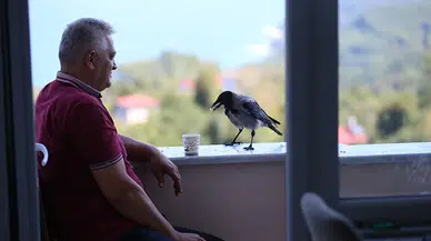 Fındık ikram ettiği kargayla dostluk kurdu