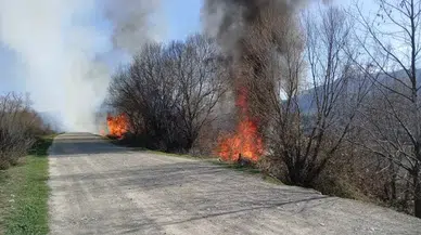 Taşova'da otluk alanda çıkan yangın söndürüldü