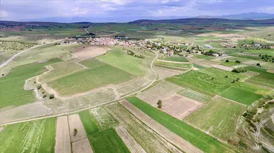 Bolu'da 570 dönüm arazi kiraya verilecek