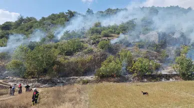 Tokat'ta ormanlık alanda çıkan yangın söndürüldü