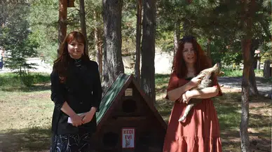 Gümüşhane Üniversitesi'nde "Kedi Evleri" kuruldu