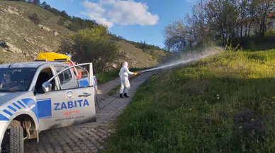 Haşere ve Sivrisineklere Karşı Erken Önlem