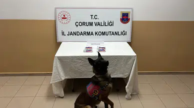 Jandarmanın Nefes Kesen Takibi Şaşırtan Bir Sonla Bitti