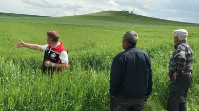 Üreticilere Sahada Teknik Destek