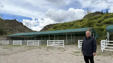 İskilip Hayvan Pazarı Açılıyor