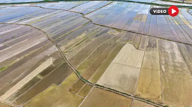 Beyaz Altının Yolculuğu Başladı