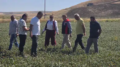 Çiftçinin Yeni Gelir Kapısında Verim Mesaisi