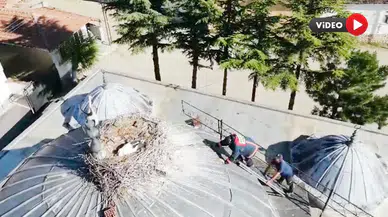 Yavru Leyleği İtfaiye Ekipleri Böyle Kurtardı