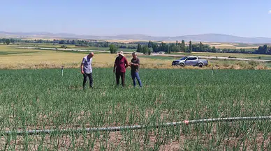 Tarım Arazilerinde Dijital Takip ve Kontrol Dönemi