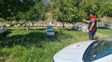 Arıcıların Beyan Ettiği Kovanlar Yerinde Tek Tek İnceleniyor