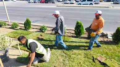 Sungurlu'da Üstyapı ve Peyzaj Çalışmaları