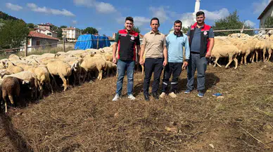 Üreticilere Sürü Yönetimi ve Hijyen Eğitimi