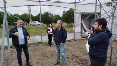 Komşuda Süt ve Kiraz İncelemesi