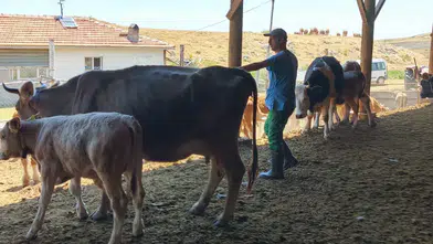 Şapa Karşı Aşılama Seferberliği