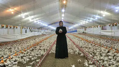 Çorum’da Tarımsal Kalkınmaya Ne Kadar Destek Verildi?