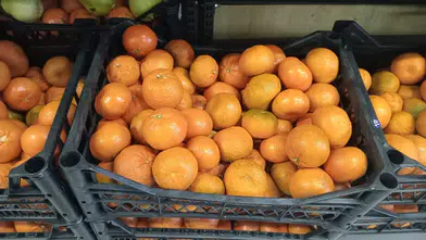 Kışın Turuncu Mucizesi