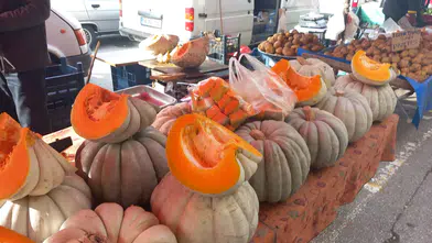 Sofraların Turuncu Mucizesi