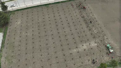 Çorum’da Modern Bağ Tesisi İçin İlk Adım