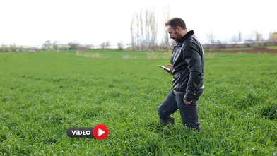 Tarladaki Gizli Düşmana Karşı Yapay Zeka Kalkanı