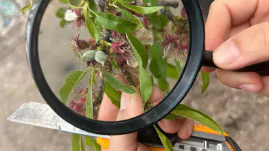 Tarım Arazileri Mercek Altında