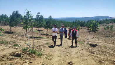 Ceviz Üreticilerine Saha Desteği