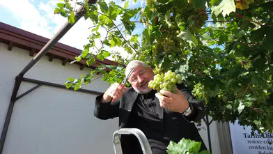 Dünyanın En Dar Arastasında Hasat Vakti