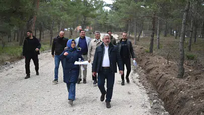Bahabey Çamlığı Yaza Hazırlanıyor