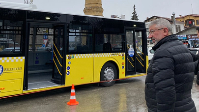 Sarı Civcivlerin Sayısı Artıyor