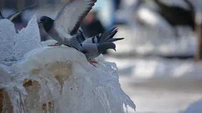 Sıcaklık Ciddi Oranda Azalacak