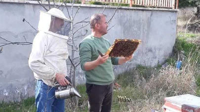 Dodurga’da Üreticilere Temel Arıcılık Eğitimi